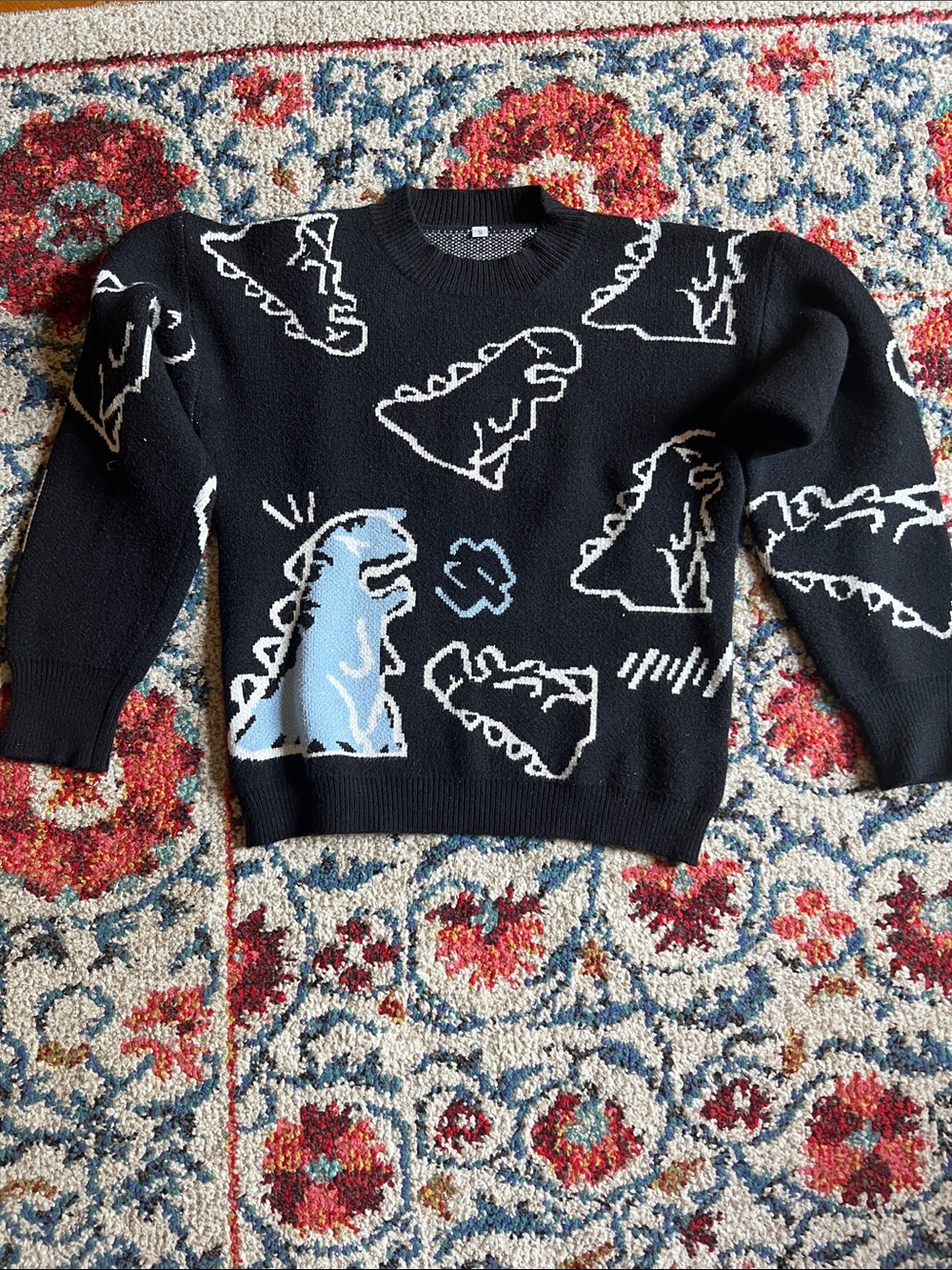 Black Sweater with Light Blue Dino Motif